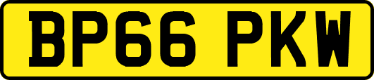 BP66PKW