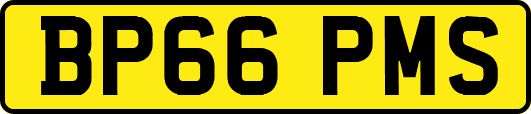 BP66PMS