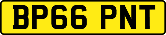 BP66PNT