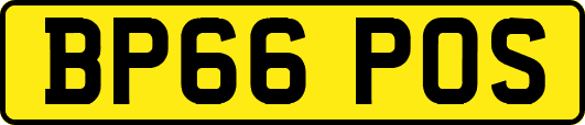 BP66POS