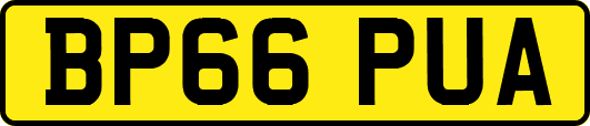 BP66PUA