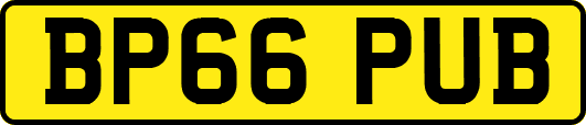 BP66PUB