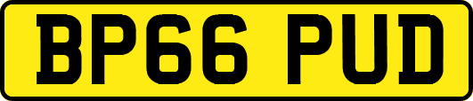 BP66PUD