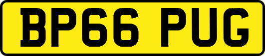 BP66PUG