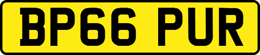 BP66PUR