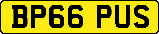 BP66PUS