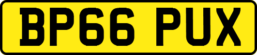 BP66PUX