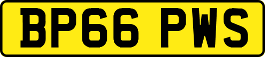 BP66PWS