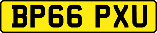 BP66PXU