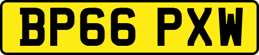 BP66PXW