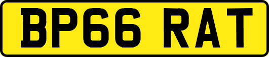 BP66RAT