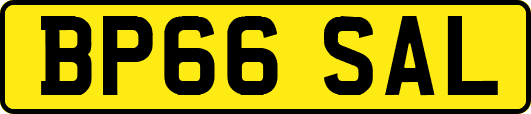 BP66SAL
