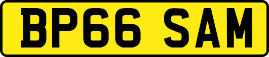 BP66SAM