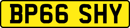BP66SHY
