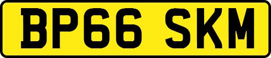 BP66SKM