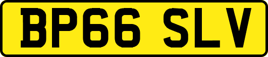 BP66SLV
