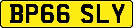 BP66SLY
