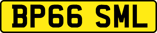 BP66SML