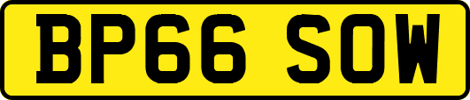 BP66SOW