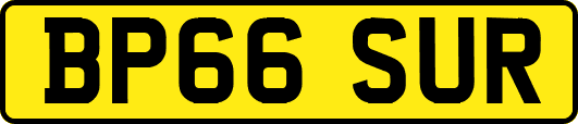 BP66SUR