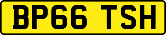 BP66TSH