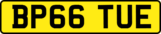 BP66TUE