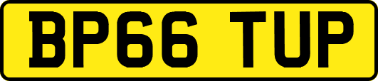 BP66TUP
