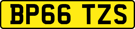 BP66TZS