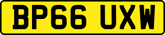 BP66UXW