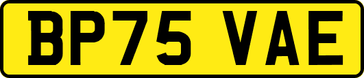 BP75VAE
