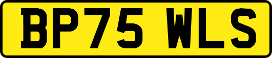 BP75WLS