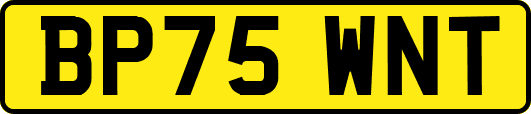 BP75WNT