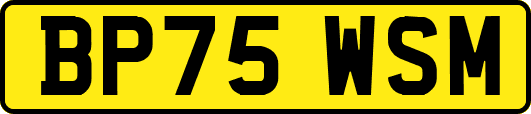 BP75WSM