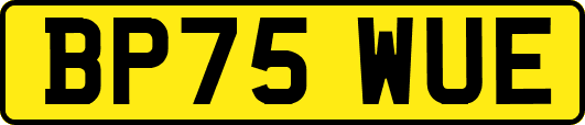 BP75WUE