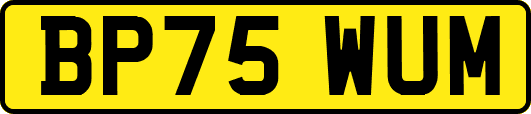 BP75WUM