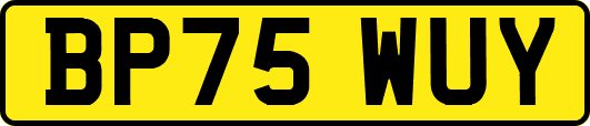 BP75WUY