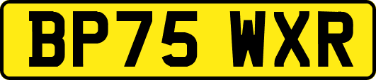 BP75WXR