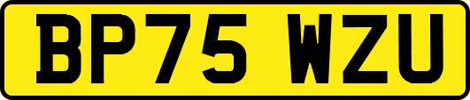 BP75WZU