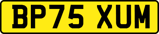 BP75XUM
