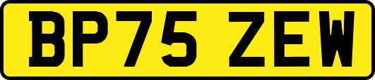 BP75ZEW