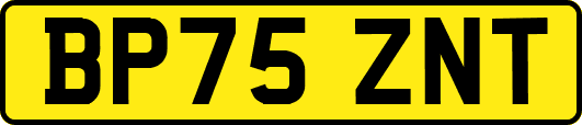 BP75ZNT