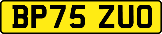BP75ZUO