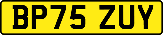 BP75ZUY