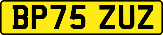 BP75ZUZ