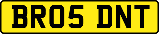 BR05DNT