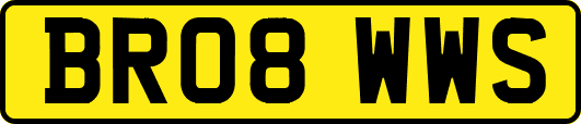 BR08WWS