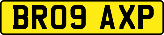 BR09AXP