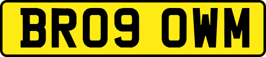 BR09OWM