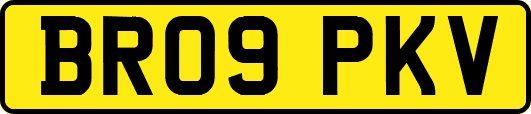 BR09PKV