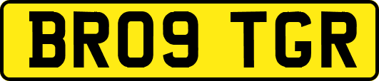 BR09TGR